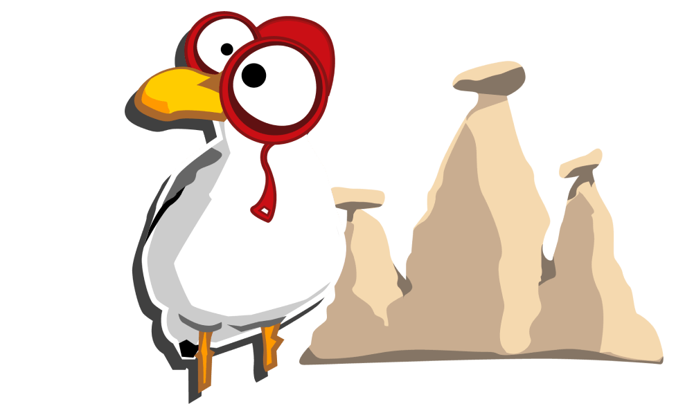 Chimney Bird